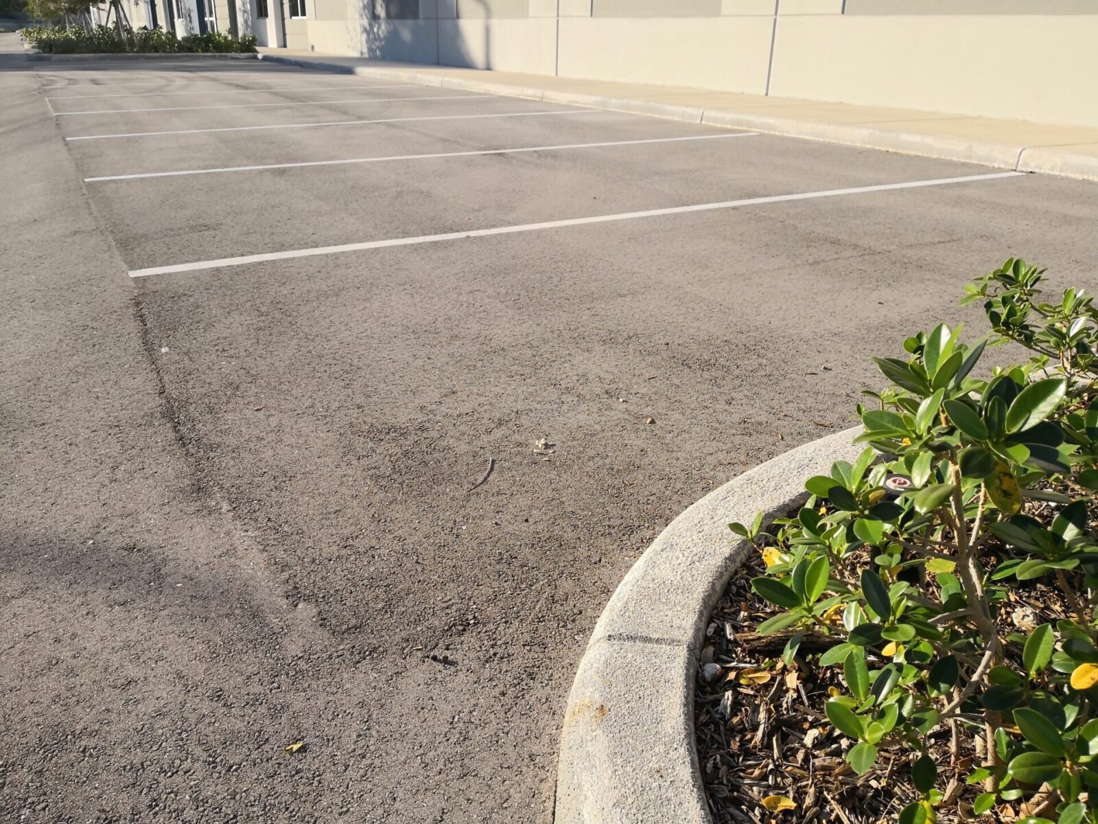 An empty parking lot in Boynton Beach, FL, with white lines marking individual spaces. The asphalt lot is bordered by a concrete curb on the right side, enclosing a small landscaped area with green shrubbery. A light-colored building stands in the background. Contact us for asphalt paving services and get a free quote!