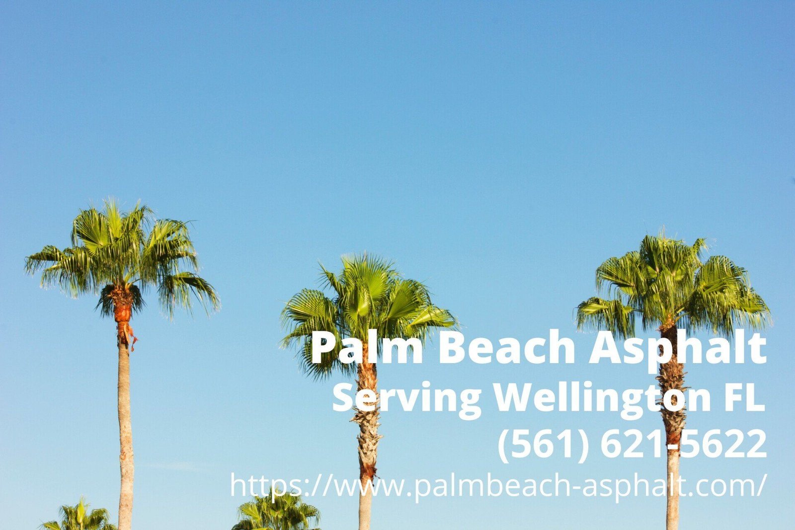 contact details of Palm Beach Asphalt, an asphalt company serving Wellington, FL